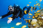 Advanced scuba Diver Development Program