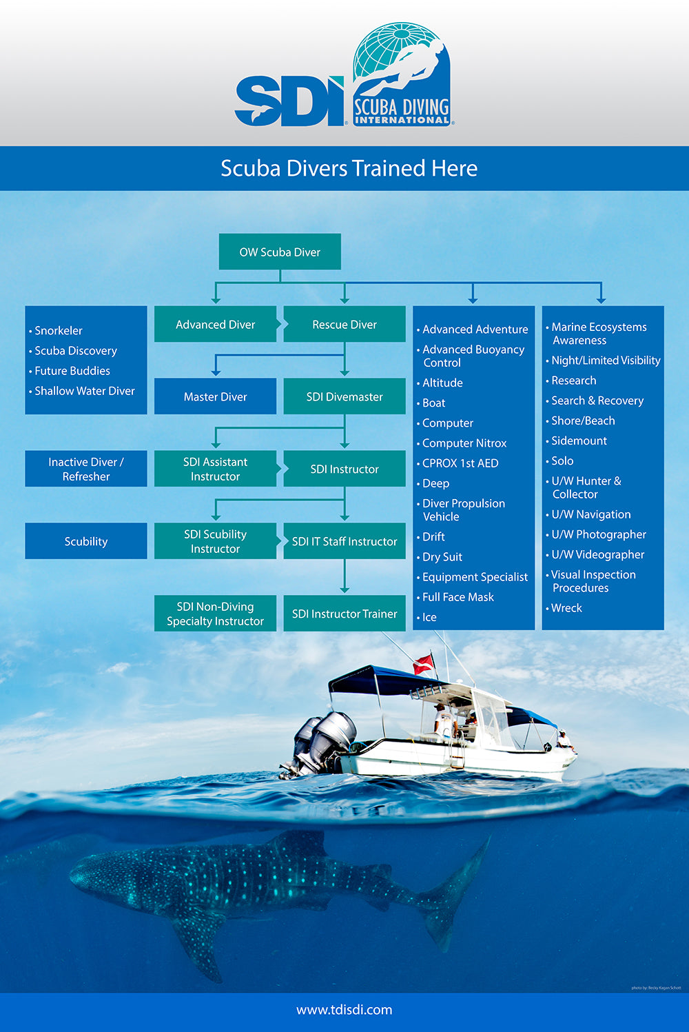 Open Water Scuba Diver Training