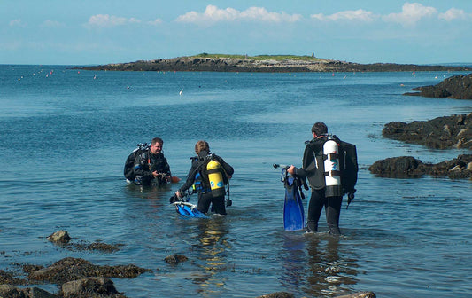 Divemaster Training